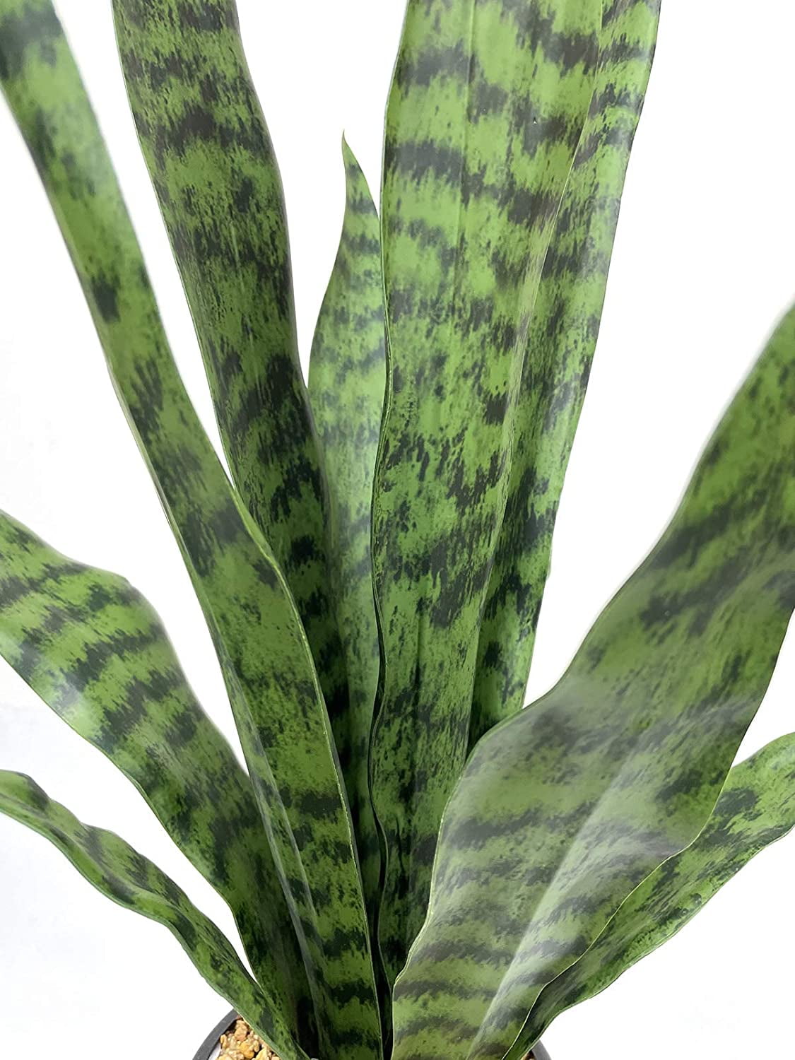 Artificial Snake Plant 22" Faux Agave Fake Sansevieria Artificial Potted Plants for Indoor and Outdoor Home Office Décor (White Pot)