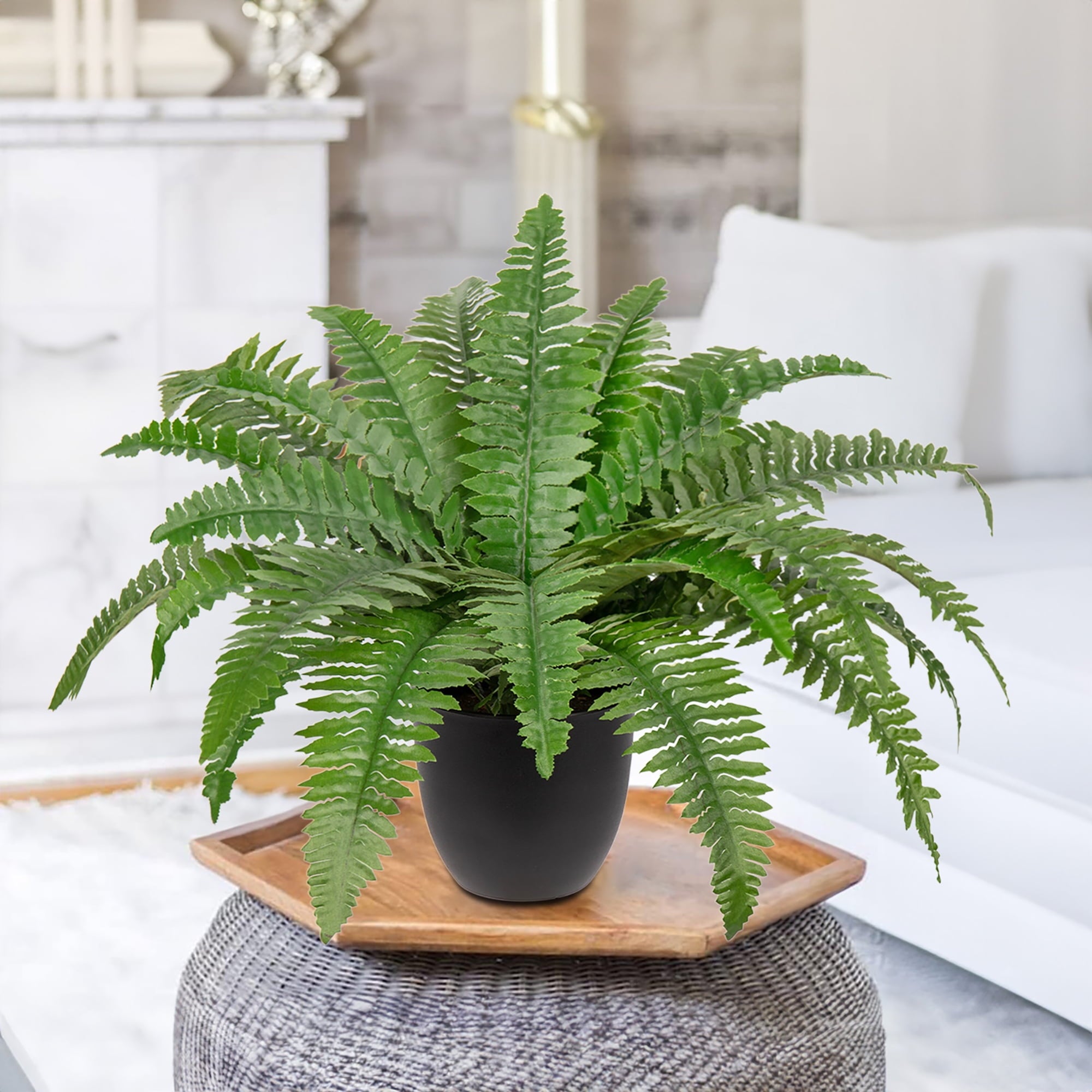 Artificial Fern Potted Plant Faux Boston Fake Fern Bush Plant in Pot Office Living Room Home Decor for Outdoors & Indoor