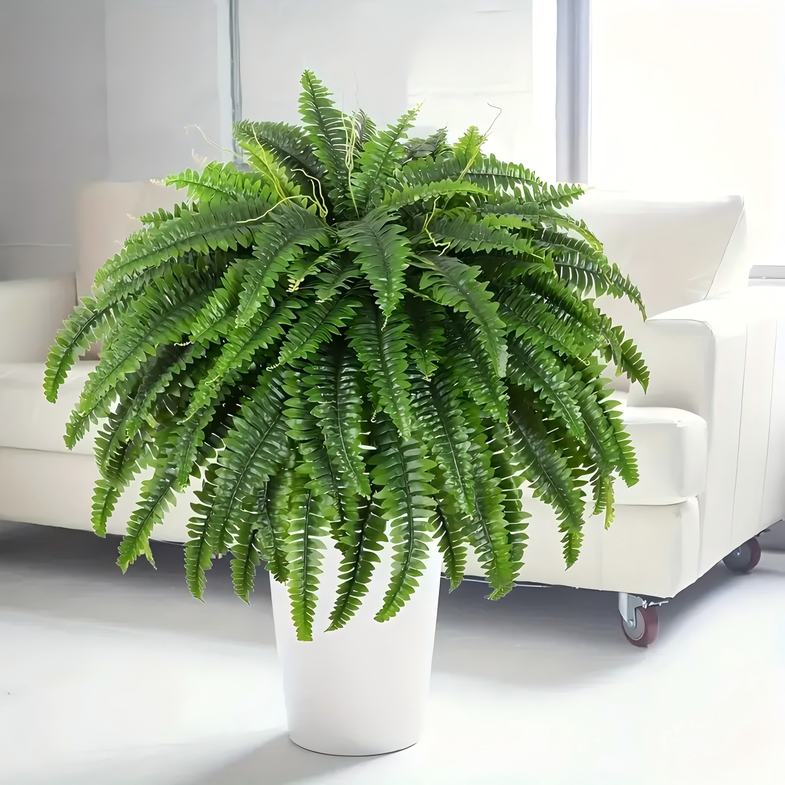 38 leaves 2 pieces lifelike artificial Boston fern plants, versatile faux potted plants for home, garden porch cabin decor, hanging display, indoor/out use, pot not included