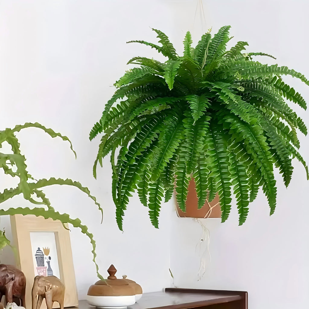 38 leaves 2 pieces lifelike artificial Boston fern plants, versatile faux potted plants for home, garden porch cabin decor, hanging display, indoor/out use, pot not included